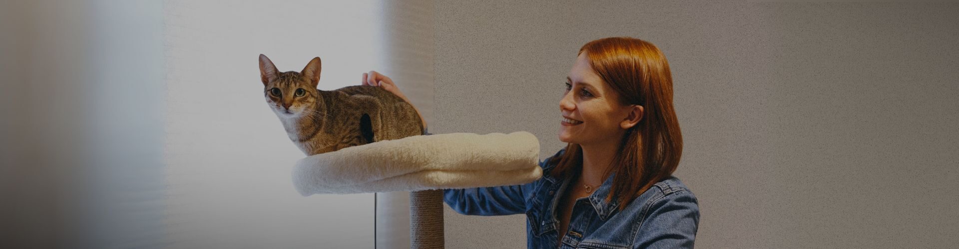 Carmen petting Tony, the short-haired tabby cat, relaxing on a soft beige cat tree