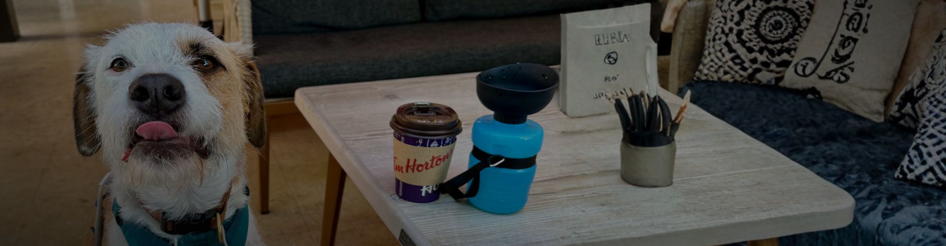 Marty sitting beside a café table with coffee and a blue pet water bottle.