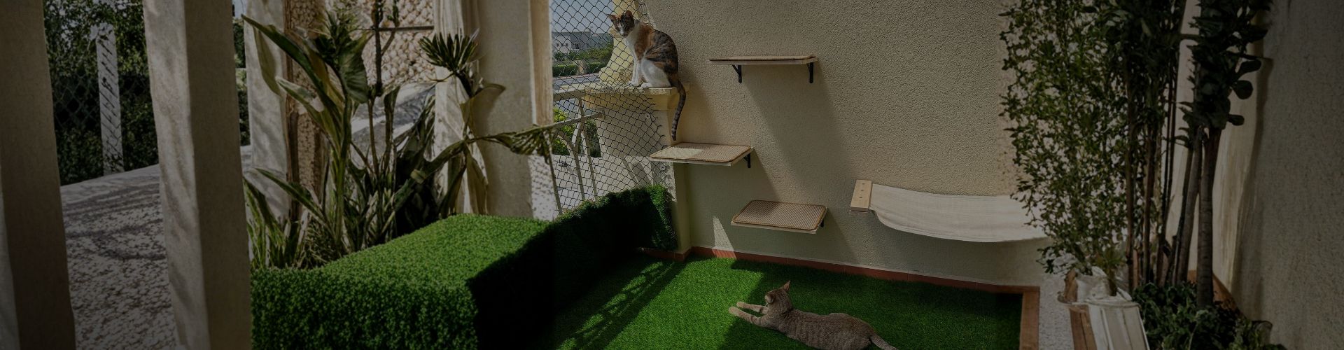 Cats in an outdoor catio with shelves, greenery, and artificial grass.